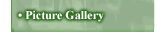 Photo Gallery, Pictures,Greenhouse, and Solariums at Florian Greenhouse