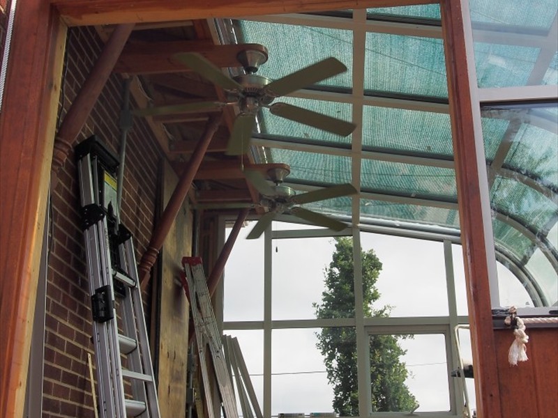 Greenhouse (4)